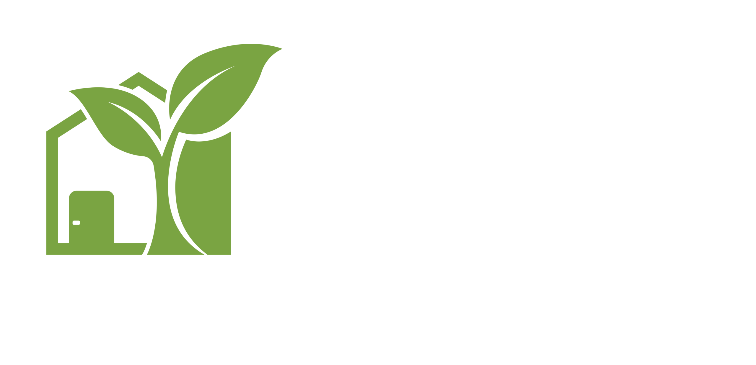 nirvair_logo_white_text_green_elements
